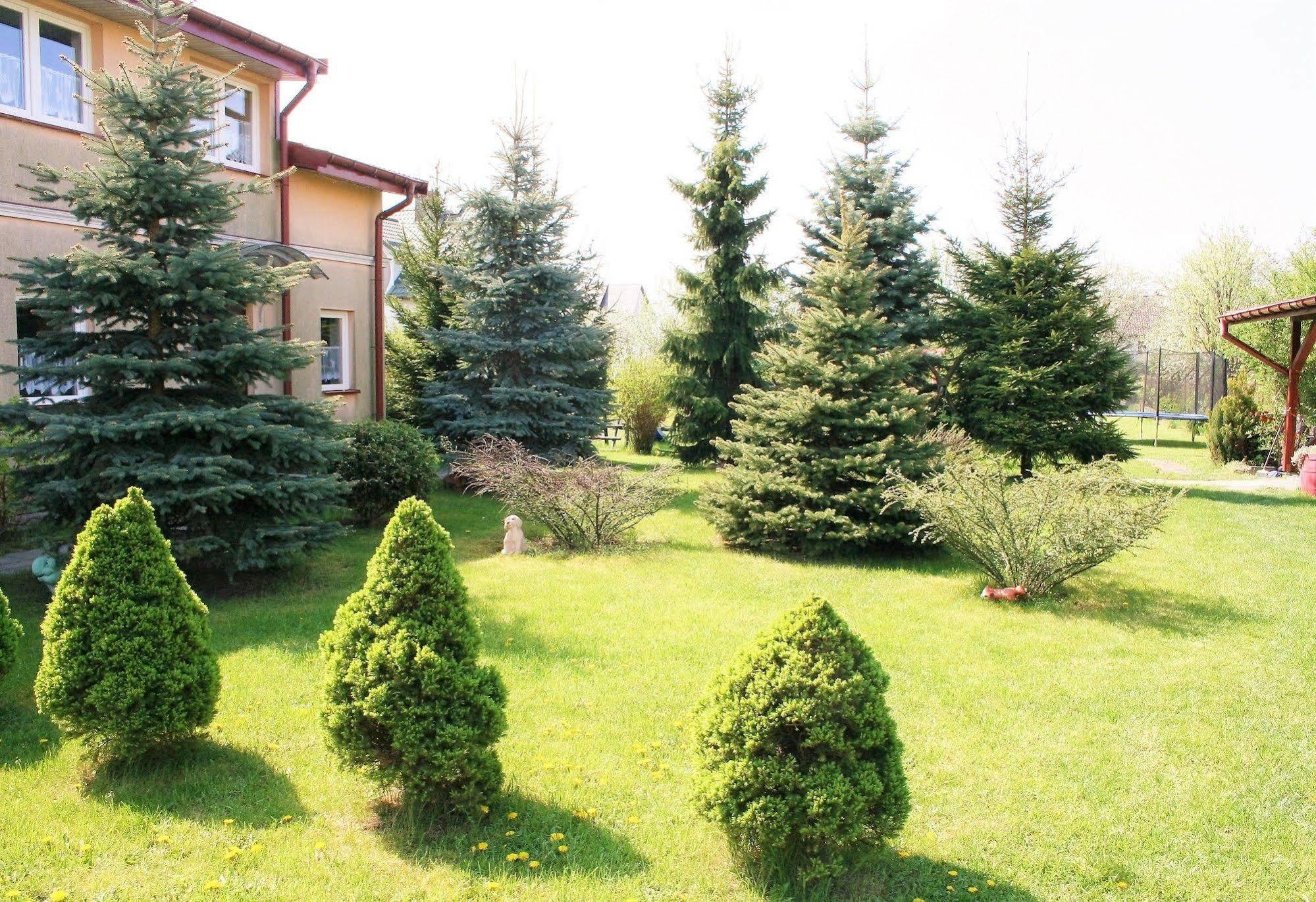 Mv Apartamenty Komfort Августів Екстер'єр фото